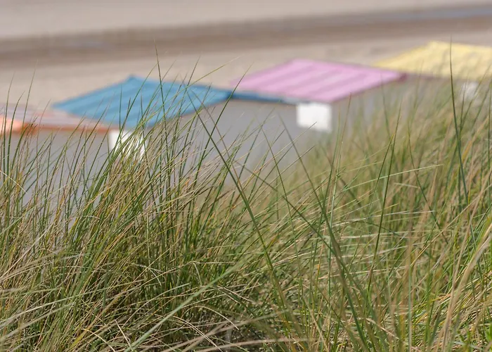 Holiday home Geluid De Zee By Interhome De Haan